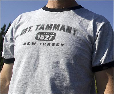 Mt. Tammany - New Jersey T-shirt shirt
