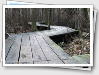 Cheesequake State Park