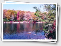 Sunfish Pond, Worthington State Forest