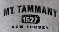 Mt. Tammany