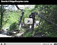 Bearfort Ridge-Surprise Lake