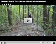 Beaver Brook Trail