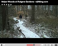 Helyar Woods
