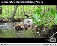 Jockey Hollow/Morristown National Park - Grand Loop