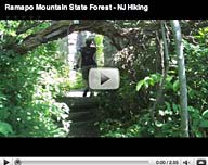 Ramapo Mountain - Van Slyke Castle