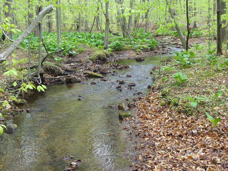 Jockey Hollow Grand Loop and Mt Kemble Loop trails