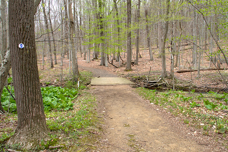 Jockey Hollow Grand Loop Trail