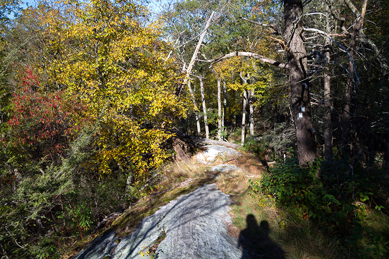 Lemon Squeezer Appalachian Trail