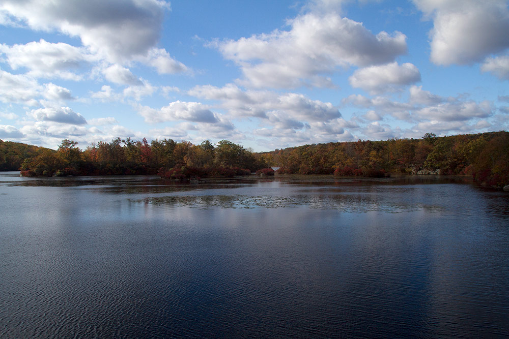 Ramapo Mountain State Forest