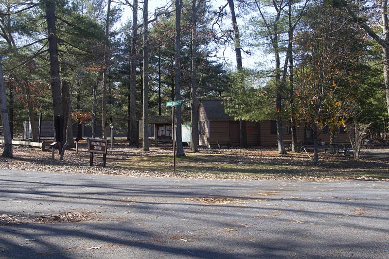 Belleplain State Forest