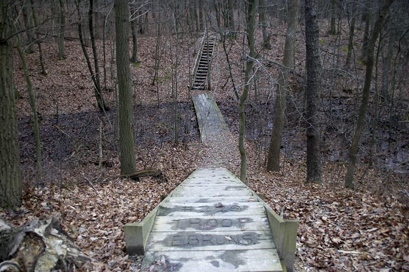 cheesequake-state-park-blue-trail-njhiking