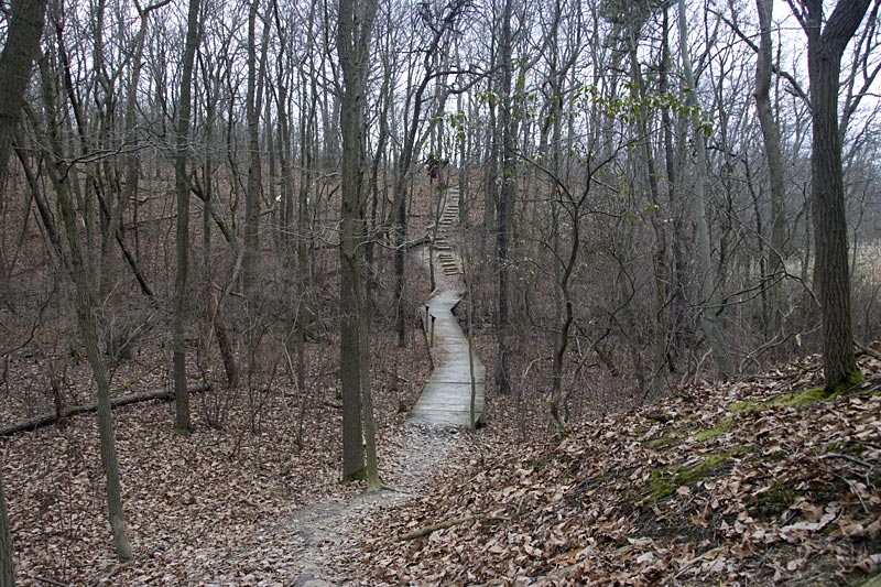 cheesequake-state-park-blue-trail-njhiking