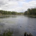 Beaver Brook