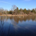 IMG_1308