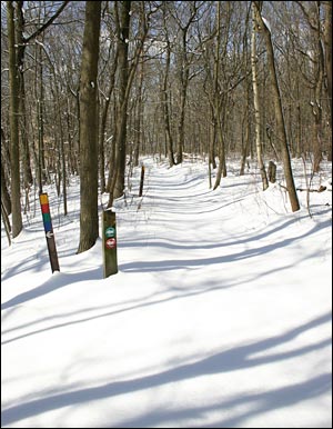 Snow Forecast and Snow Depth Maps | njHiking.com