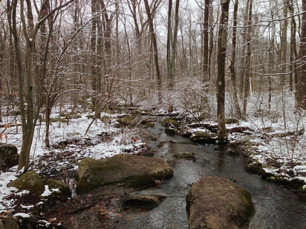Sourlands Mountain Preserve, Ecosystem Preserve and D&R Greenway