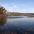 Sunfish Pond