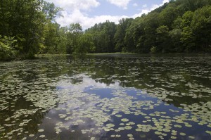 Ghost Lake