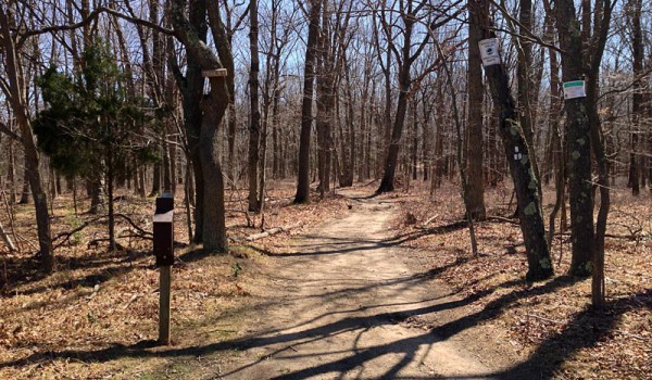 Tamarack Hollow Preserve