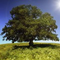 Earth Day