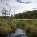 Wawayanda State Park