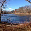 Turkey Swamp