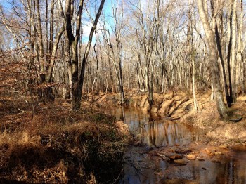 Turkey Swamp - Manasquan River