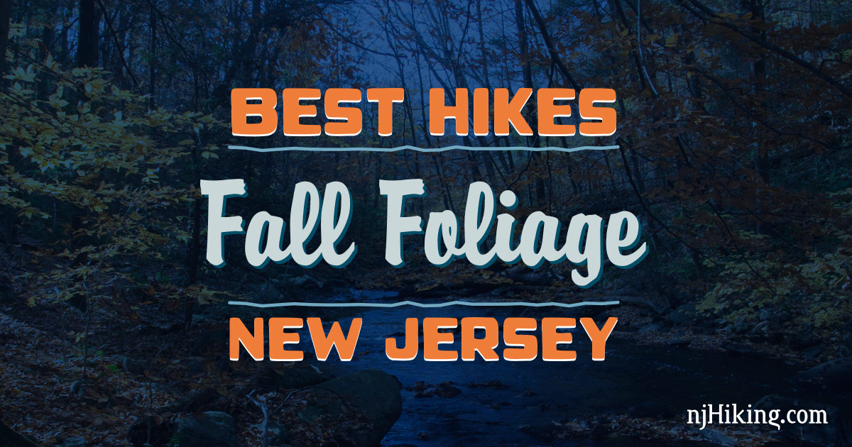 Best Fall Foliage Hikes in New Jersey