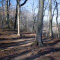 Clayton Park