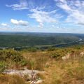 Appalachian Trail - Raccoon Ridge