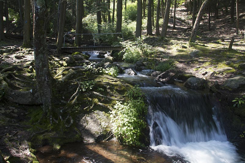 Buttermilk Falls, Crater Lake, Hemlock Pond