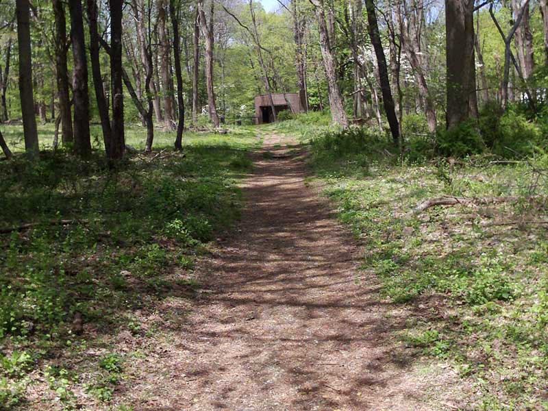 Jockey Hollow Grand Loop and Mt Kemble Loop trails