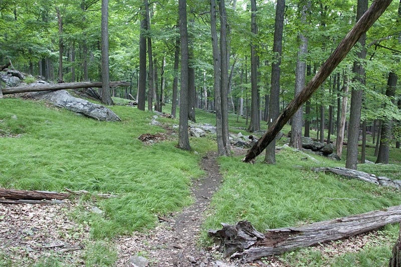 Lemon Squeezer Harriman State Park, NY