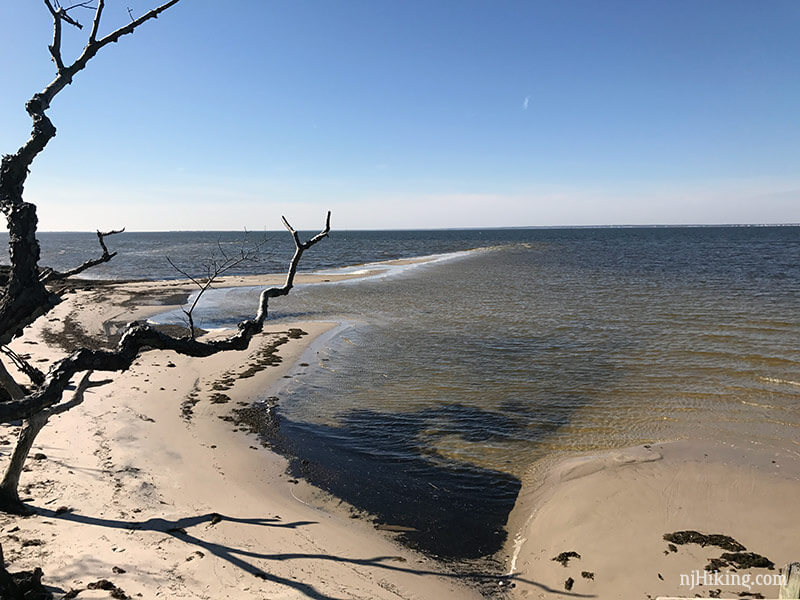 Island Beach State Park