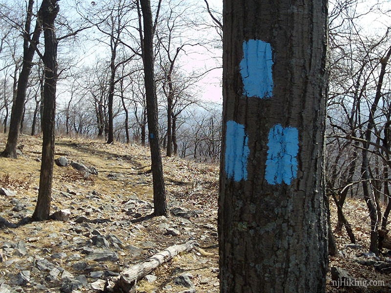 Water Gap Mt. Tammany, Fire Road, Sunfish Pond, Dunnfield Creek