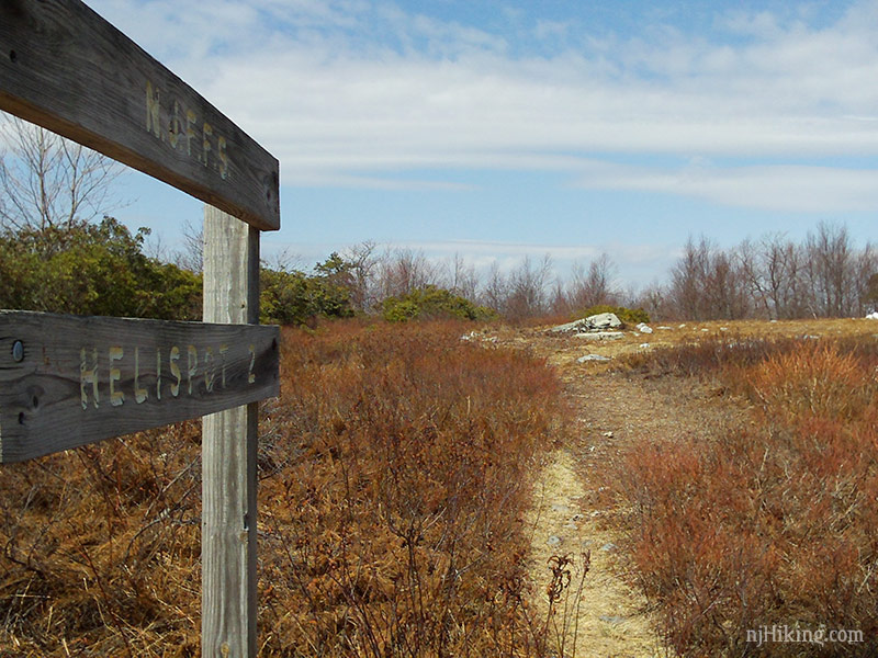 Water Gap Mt. Tammany, Fire Road, Sunfish Pond, Dunnfield Creek