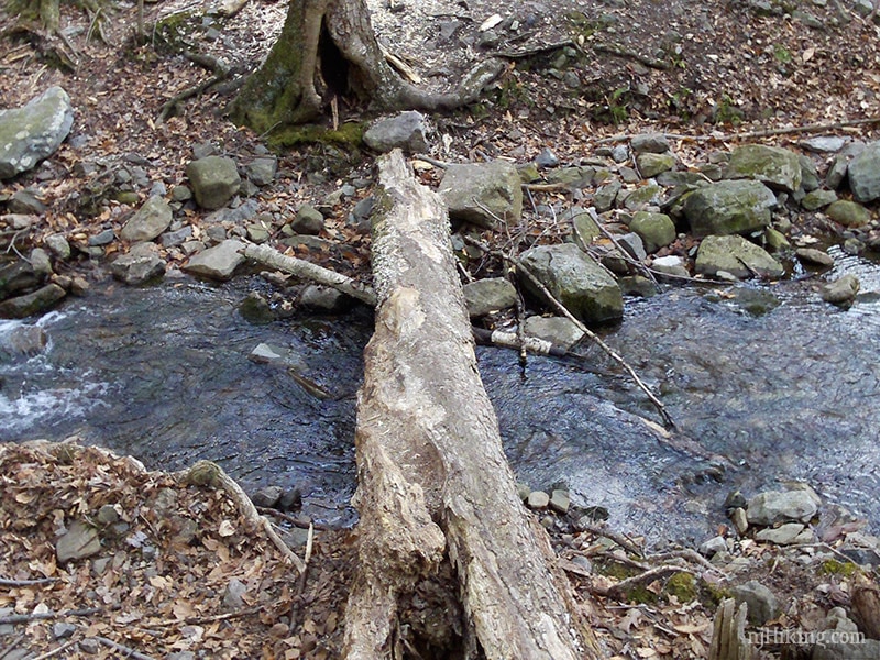 Water Gap Mt. Tammany, Fire Road, Sunfish Pond, Dunnfield Creek