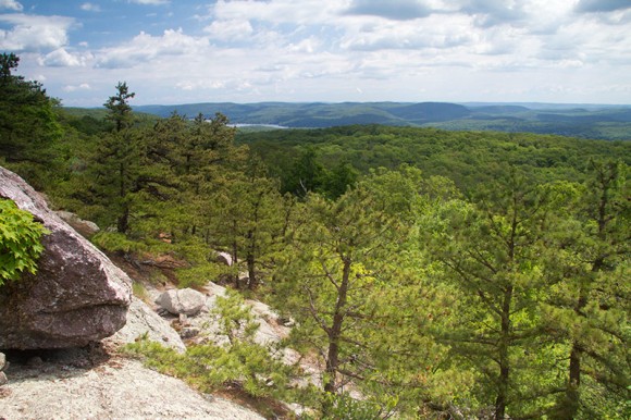 View over green forest and hills with a large boulder in the foreground
