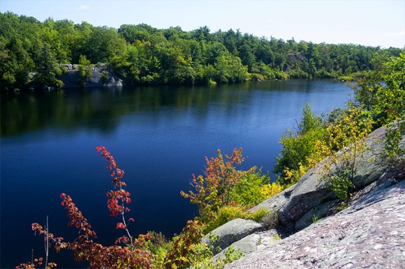 Terrace Pond South.