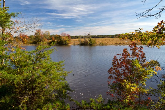 The river at Maurice River Bluffs.