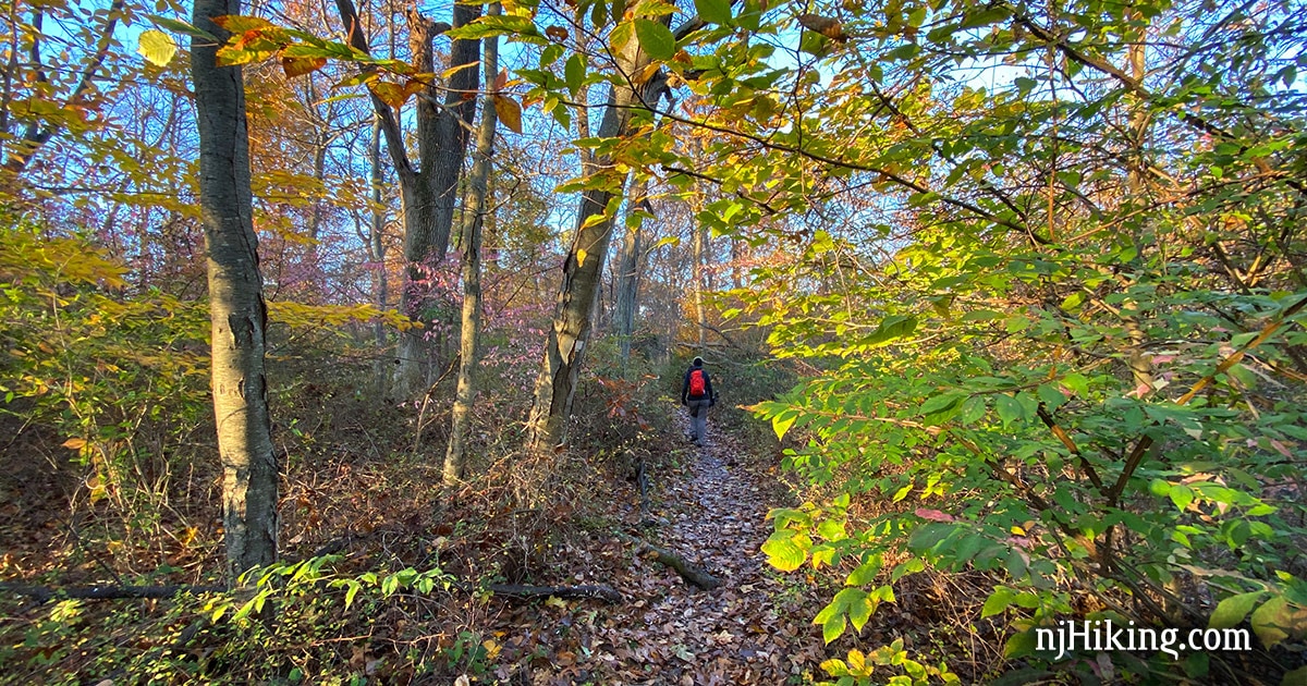 Watchung Reservation Hiking Trails Watchung Reservation - Sierra Trail | Njhiking.com