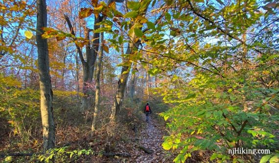 Watchung Reservation Trail Map Watchung Reservation - Sierra Trail | Njhiking.com