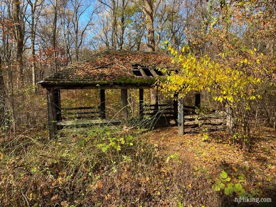 Old pavilion becoming overgrown.