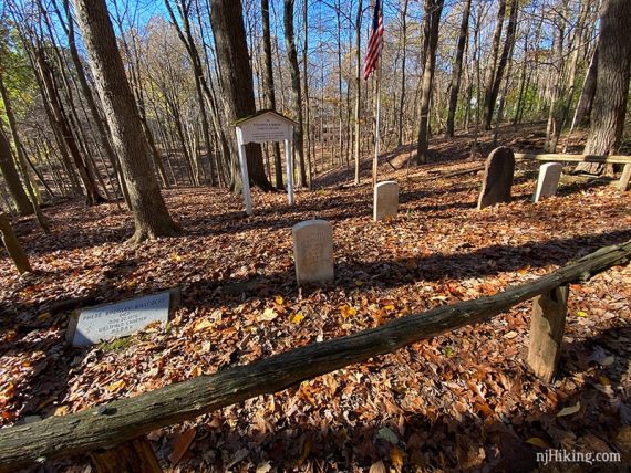 A few headstones in the Willcocks and Badgley Cemetery.