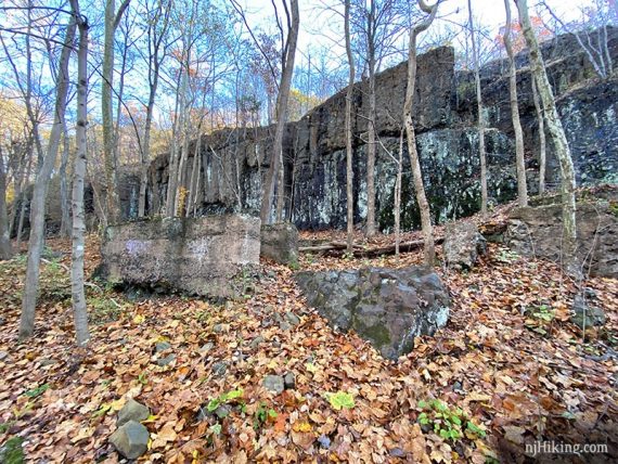 Cliffs along the Green Brook.