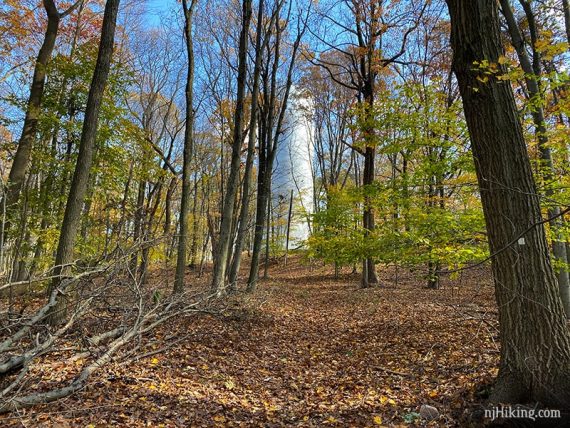 Approaching a water tower.