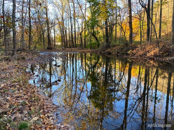 Green Brook at Watchung Reservation.