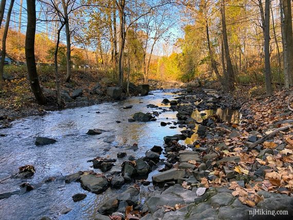 Rock lined brook surrounded by yellow foliage.