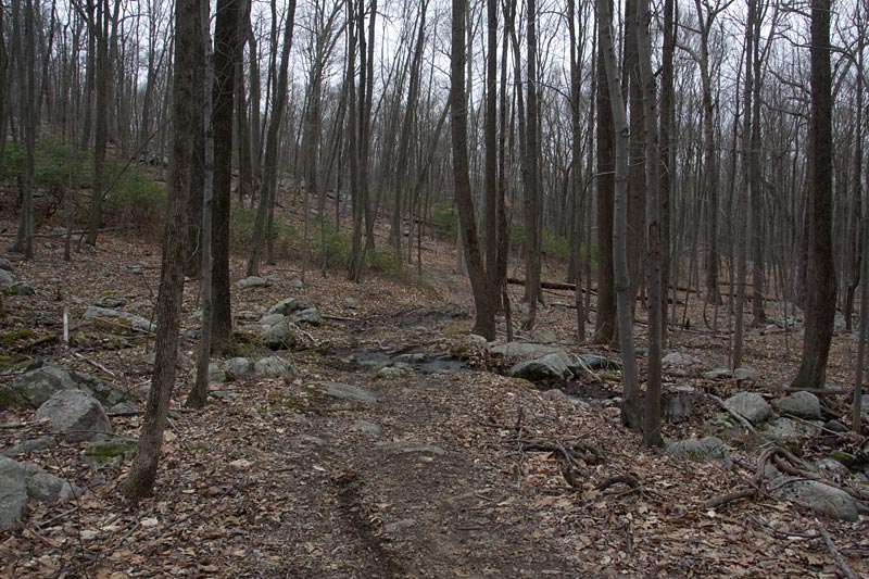 Wanaque Ridge in March