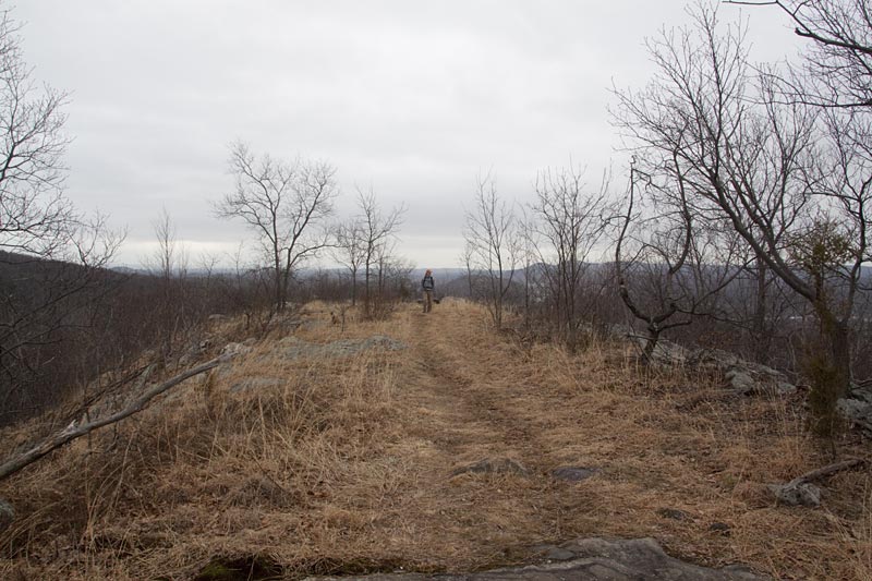 Wanaque Ridge in March